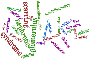 Basics of Nephrotic Syndrome