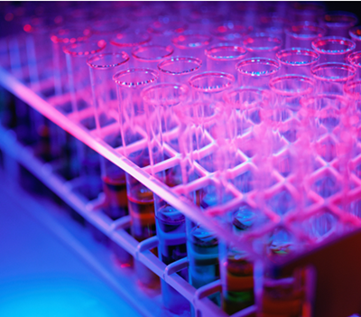 Lymphocyte Subpopulation