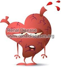 Heart Failure: A Risk Factor of Renal Fibrosis