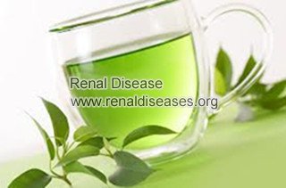 Is Green Tea Allowed with Kidney Disease