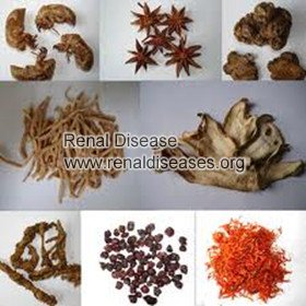 Can Kidney Cysts in Kidney Failure be Reversed with Chinese Herbs