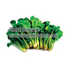 Is Spinach Allowed to Patients with Stage 3 Chronic Kidney Disease
