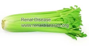 Can You Have Celery with Kidney Disease