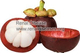Stage 5 CKD : Can Mangosteen Help Improve Kidney Function