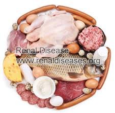 IgA Nephropathy: Can I Have A High Protein Diet