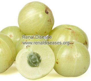 Is Alma Safe for kidney stone Patients