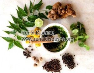 Natural Treatments to Reverse Chronic Kidney Disease