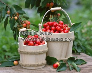 Can Chronic Kidney Disease Patients Eat Cherry