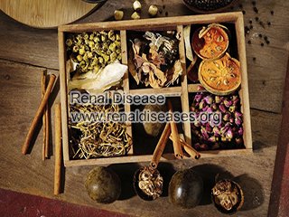 Natural Remedy for Hypertensive Nephropathy with Creatinine 5.6