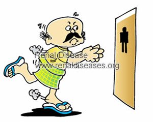 Why Chronic Kidney Disease Patients Have Frequent Urination at Night