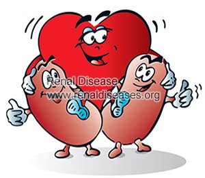 Kidney Failure And Cardiovascular Disease