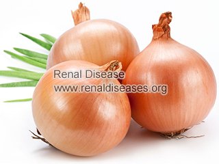 Is Onion Good for Chronic Kidney Disease