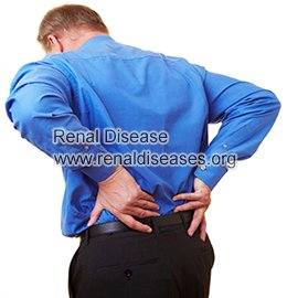 Causes and Treatments of Lower Back Pain in IgA Nephropathy
