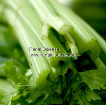 Home Remedies for Blood Pressure Control in Hypertensive Nephropathy