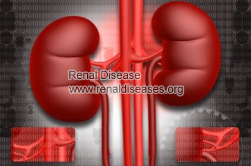 How to Increase Kidney Function in Kidney Failure Naturally 
