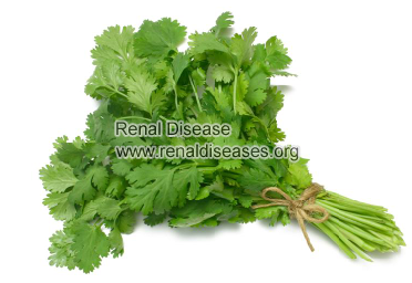 Can Kidney Failure Patients on Dialysis Eat Coriander