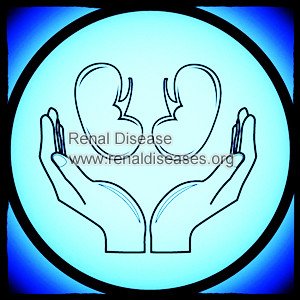 Top 5 Natural Ways to Protect Your Kidneys