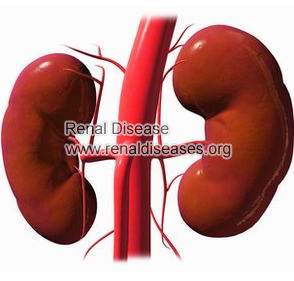 GFR 20 with One Kidney: Symptoms And Treatments