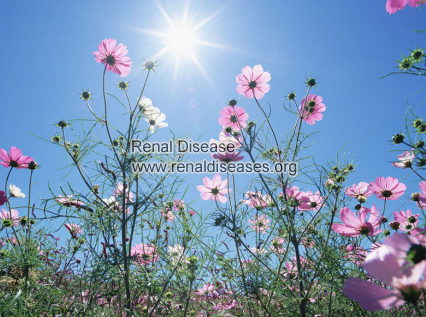 What Does A GFR of 60 Mean