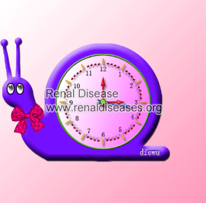 Life Expectancy for GFR 13 Without Dialysis
