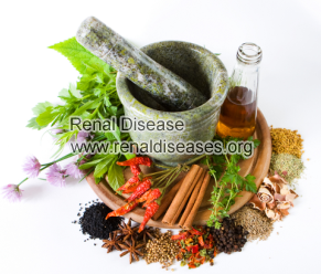 Top Herbs to Manage Chronic Kidney Disease