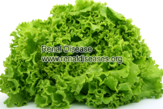Can Diabetic Nephropathy Patients Eat Lettuce