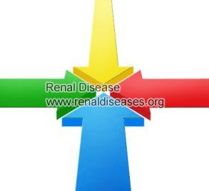 How to Treat Hyperlipidemia for People with Nephrotic Syndrome