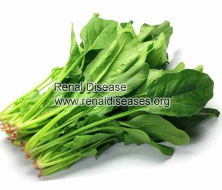Can Too Much Spinach Cause Kidney Stones