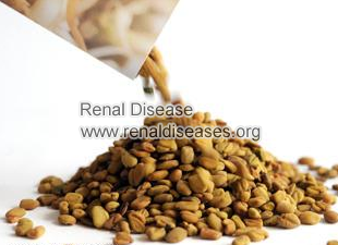 Is Fenugreek Good for Diabetic Nephropathy Patients