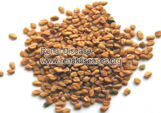 Are Fenugreek Seeds Good for Kidney Failure Patients