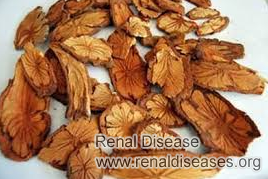 How Does Ligusticum Wallichii Work for Damaged Kidneys