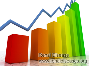 Is GFR the Only Measurement of Kidney Function