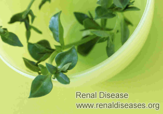What Chinese Herbs Are Used for Kidney Disease