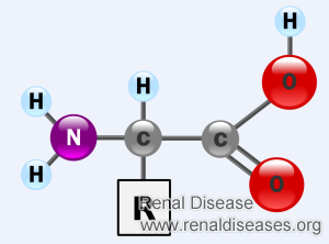 Roles of Amino Acids in Kidney Health