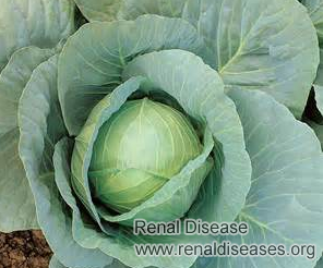 Constant Vomiting With Creatinine 6.2