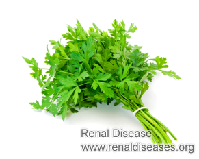 Is Parsely Dangerous to the Kidney Health