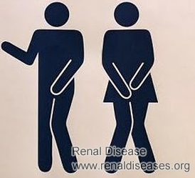 Why Urinal Pain Occurs in Kidney Cysts Patients