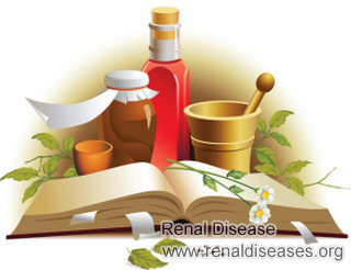 Treatment Options for IgA Nephropathy Patients