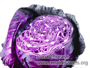 Can Renal Failure Patients Eat Purple Cabbage