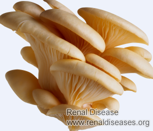 Can Mushroom Lower High Creatinine Level