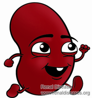 What’s the Best Treatment for IgA Nephropathy Patients