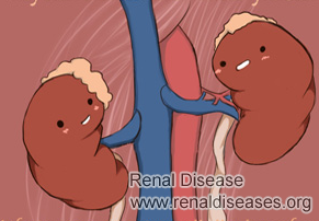 How Serious is Bilateral Renal Parenchymal Disease