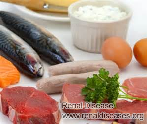What Does Nephrotic Syndrome Patient Need on Diet