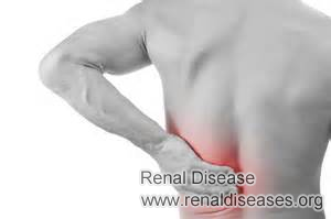 Kidney Cysts on Left Kidney: What Should I Do