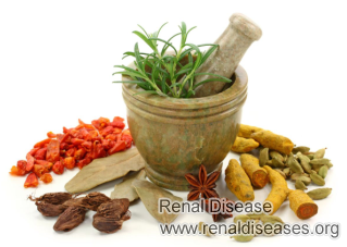 Are Natural Herbal Supplements Good for Kidney Patients