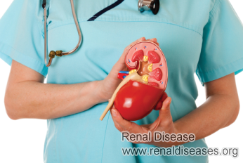 What Happens When Your Kidneys Shut Down