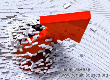 New Breakthrough to Reduce Creatinine 9.2 in 2014