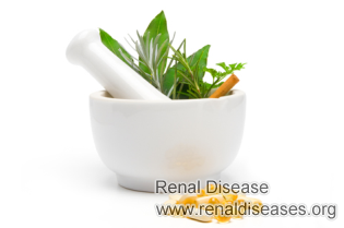 Can FSGS Be Recoverable by Steroid Therapy