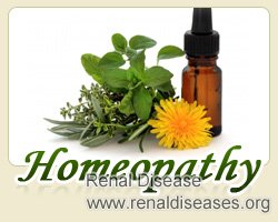 How Does Homeopathy Lower Creatinine 12