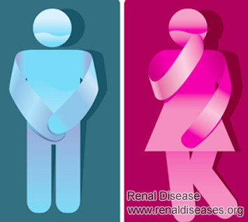 Why Does A Kidney Failure Patient Have Frequent Urine